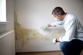 Why You Should Choose Our Mold Remediation Services in Kelso, WA